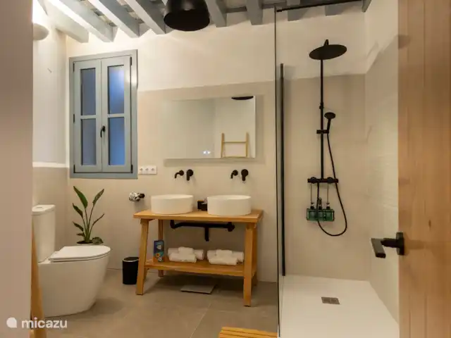 Ruime badkamer met inloopdouche, toilet, wastafel met 2 wasbakken, spiegel met light en warmte tegen beslaan, toiletartikelen.